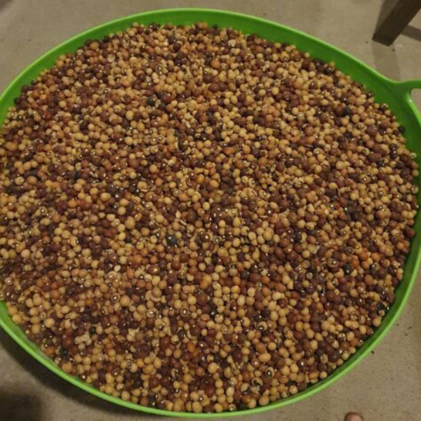 Nyimo / Bambara Groundnut-Bean / Congo Goober – 1kg