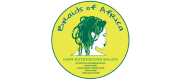  Braids Of Africa Hair Extensions and Weaves 